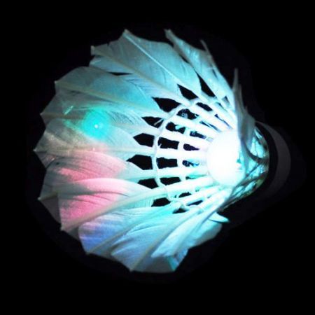 LUD 8PCS Colorful LED Shuttlecock Badminton