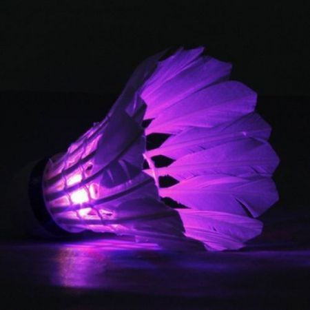 LUD 8PCS Colorful LED Shuttlecock Badminton