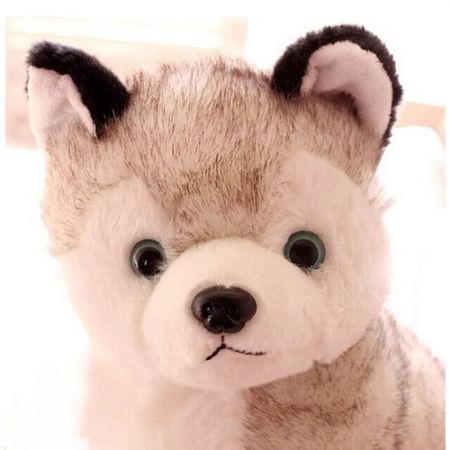 Cute Husky Puppy Dog Plush Doll Toy Collection Decoration Plaything for Kids Children