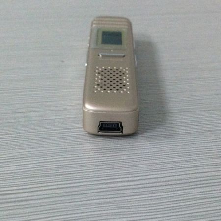 806 1.3" LCD Digital Voice Recorder w/ Built-in Speaker - Gold (4GB)