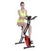 Folding Exercise Bike with Electric Monitor