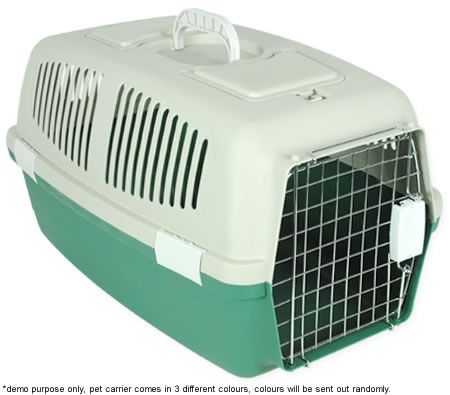 Portable Pet Carrier Travel Crate - Large