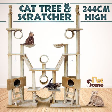 cat play gym kmart