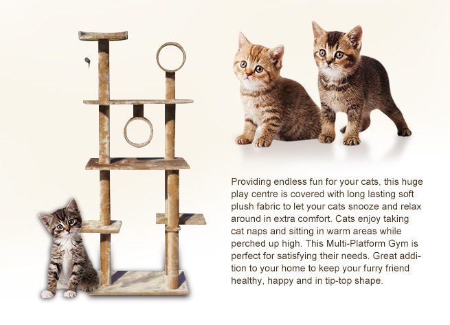 cat play gym kmart