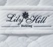 Queen Size Latex Mattress & Waterproof Mattress Protector Combo
