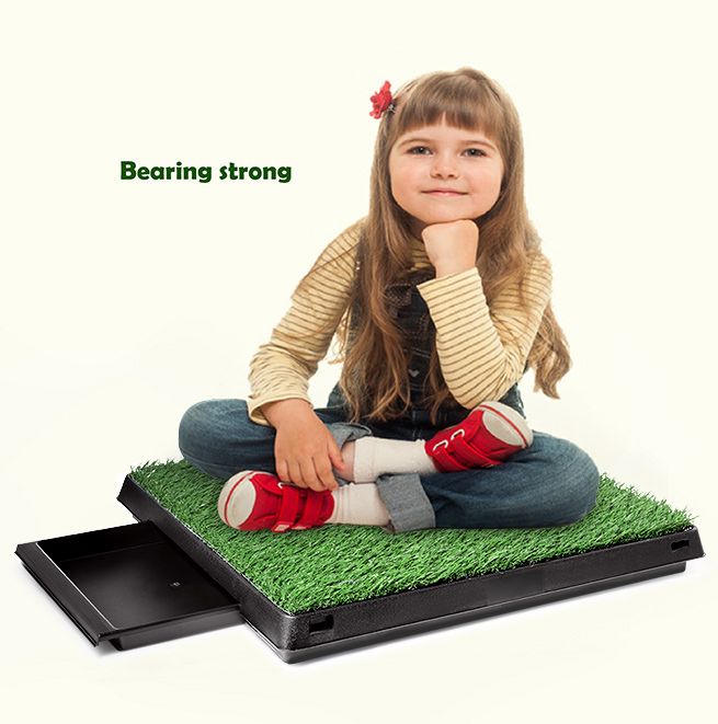 Large Indoor Pet Toilet Crazy Sales