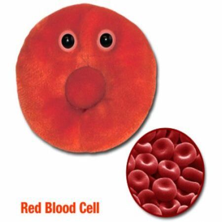 giant microbes red blood cell