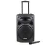 Lenoxx Portable Wireless Bluetooth PA System