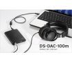KORG DS-DAC-100m amplifier