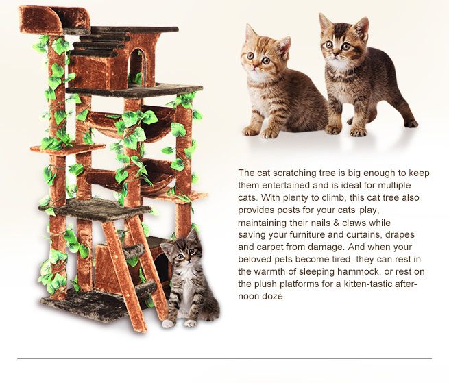 Deluxe 160cm Cat Activity Tree Crazy Sales