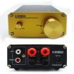 50W Digital Power Amplifier Hifi Amplifier With Stereo