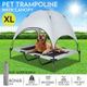 Pet Dog Bed Raised Trampoline Puppy Cat Hammock Cot Sleeping Camping with Canopy XL