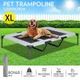 Pet Dog Bed Raised Trampoline Puppy Cat Hammock Cot Sleeping Camping XL