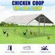 Walk-in Steel Chicken Coop Run Enclosure Rabbit Hutch Outdoor Duck Hen House 6X3M