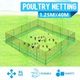 40M X 1.25M Poultry Net Chicken Netting Fence Hens Ducks Gooses With 20 Posts