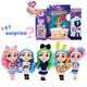 Blind box series Doll Collectible Surprise Dolls and Accessories Styles May Vary