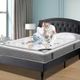 ROYAL SLEEP DOUBLE Mattress Bed Resilience Foam Bonnell Spring Medium Firm 20cm