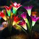 Solar Garden Lights, Multi-Color Changing Lily Solar Flower Lights for Patio,Yard Decoration (2 Pack,Purple and Red)