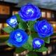 Realistic LED Solar Powered Rose Lights Flower Stake, Waterproof Solar Decorative Lights for Patio Pathway Courtyard Garden Lawn (Blue)