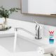 WELS Kitchen Tap Mixer Sink Faucet Mixer Tap Laundry Basin Tap with 360 degree Swivel Spout