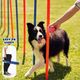 Pet Dog Weave Pole Puppy Interactive Toys Agility Equipment Exercise Training 12pcs Adjustable with Carrying Case