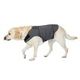 PaWz Dog Thunder Anxiety Jacket Vest Calming Pet Emotional Appeasing Cloth L