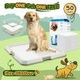 Pet Dog Pee Pad Holder with 50pcs Cat Toilet Training Mat Puppy Potty Portable Trainer 60x60cm