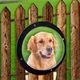 Pet Peek Fence Bubble Window For Dogs Durable Acrylic Dome Fence Window