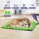 Heated Pet Mat Dog Heating Pad Heat Bed Cat Electric Heater Blanket Thermal Protection & Temperature Display 40cm x 30cm