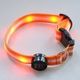 LUD LED Dog Pet Flashing Light Up Safety Collar Orange