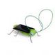 Solar Energy Powered Toy Grasshopper Green Science