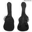 Blue Colour 39" Electric Guitar Pack