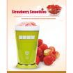 DIY Slushies/Ice Cream Maker Green