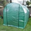 Walk-In Arc Roof Greenhouse