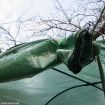 Walk-In Arc Roof Greenhouse