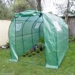 Walk-In Arc Roof Greenhouse