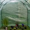 Walk-In Arc Roof Greenhouse