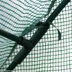 Walk-In Arc Roof Greenhouse