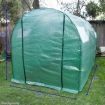 Walk-In Arc Roof Greenhouse