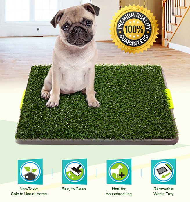 Grass Pet Training Toilet | Crazy Sales