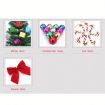 50cm Christmas Tree With 10 kinds of Christmas Accessories