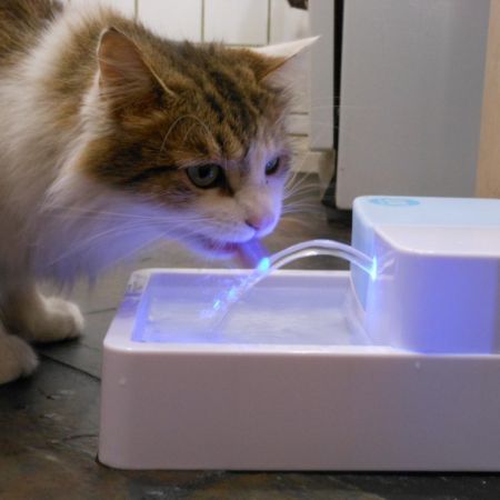 Nature SPA UV Pet Water Drinking Fountain