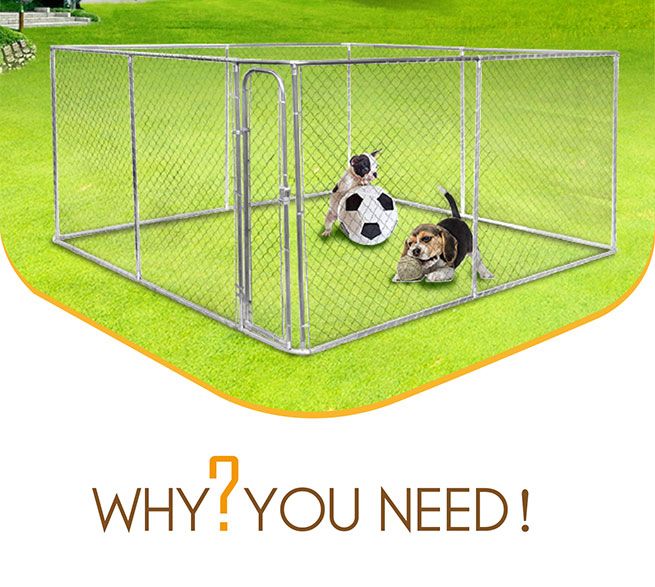 4m x 4m Kennel Run/Pet Enclosure Crazy Sales