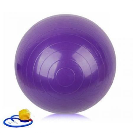 Lud 65cm Purple Exercise Fitness Aerobic Ball For Gym Yoga Pilates Ball