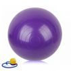 LUD 65cm Purple Exercise Fitness Aerobic Ball for GYM Yoga Pilates Ball