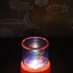 LUD Beautiful Ocean Star Underwater World Projector Night Light Lamp (Ramdon Color)