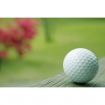 10PCS Practice Training Golf Balls Diameter 42MM