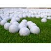 10PCS Practice Training Golf Balls Diameter 42MM