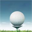 10PCS Practice Training Golf Balls Diameter 42MM