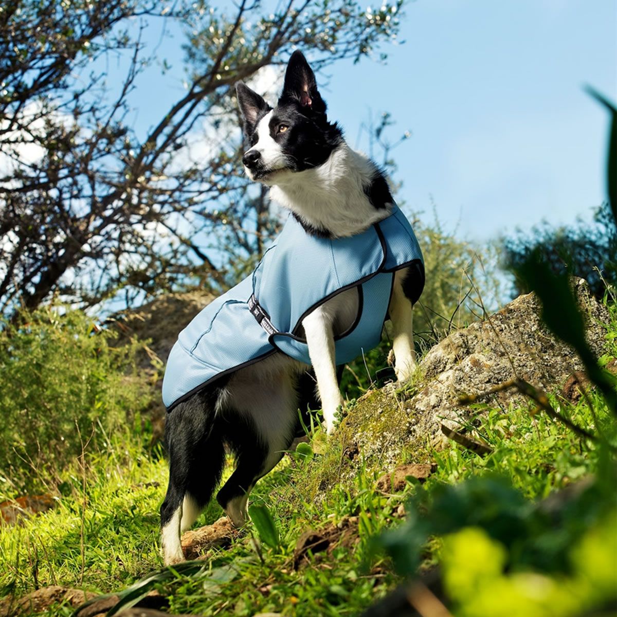 Hurtta Cooling Coat for Dogs 60cm Blue Crazy Sales